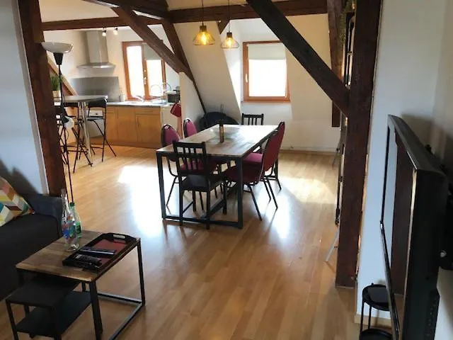 Duplex 4-6 Pers Parking Jardin Apartment Obernai
